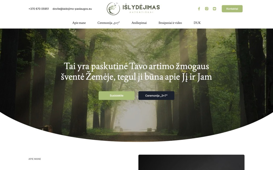 Išlydėjimas svetainės vaizdas